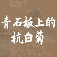 青石板上的杭白菊在线收听