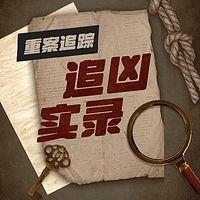 重案追踪之追凶实录在线收听