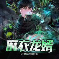 麻衣龙婿在线收听