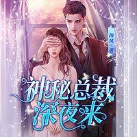 神秘总裁深夜来在线收听