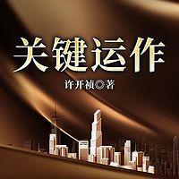 关键运作在线收听