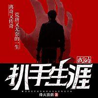 我的扒手生涯在线收听