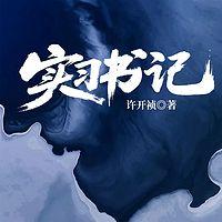 实习书记在线收听