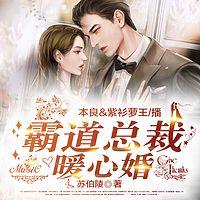 霸道总裁暖心婚在线收听