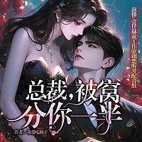 总裁，被窝分你一半在线收听