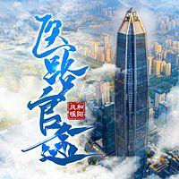 医路官途在线收听