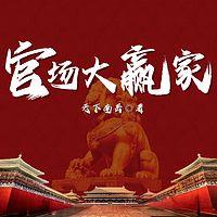 官场大赢家在线收听