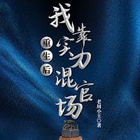 重生后，我靠实力混官场在线收听